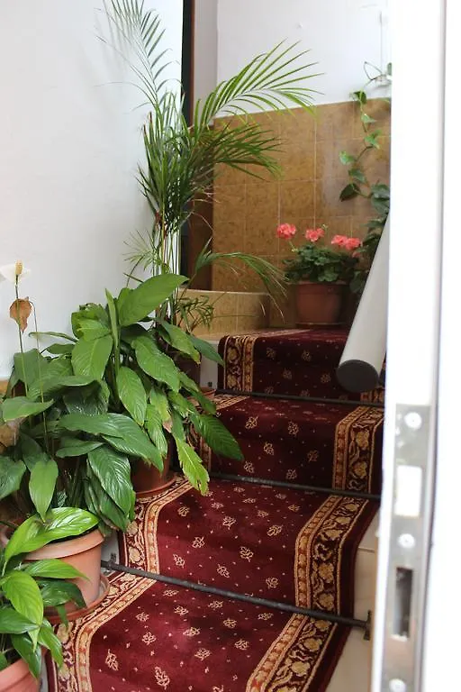 Pension El Guanche Frontera